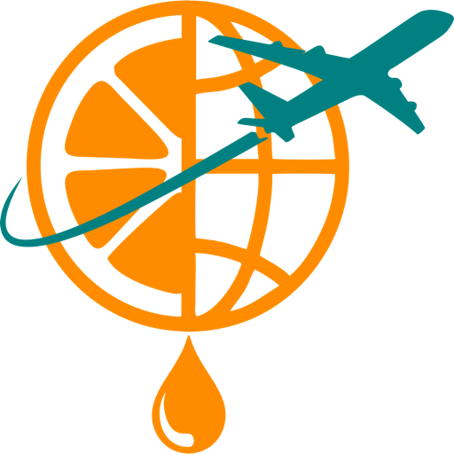 Travel Juicer